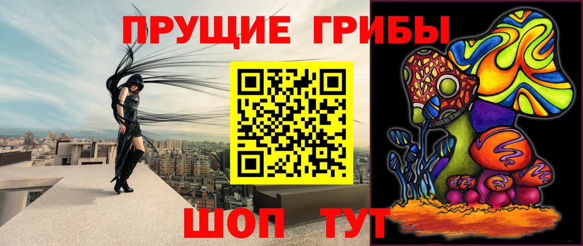 Галлюциногенные грибы мицелий  Вход с VPN  Псилоцибиновые грибы Psilocybine cubensis  наркошоп  Котельники 