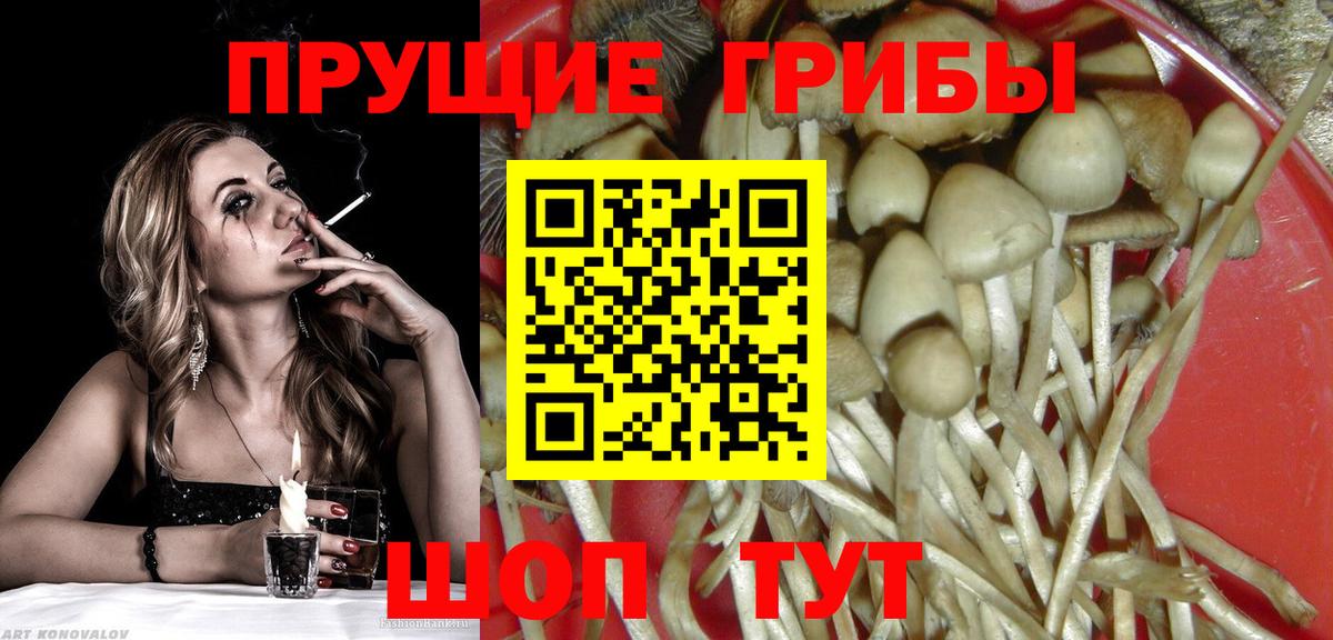 Псилоцибиновые грибы мухоморы Котельники